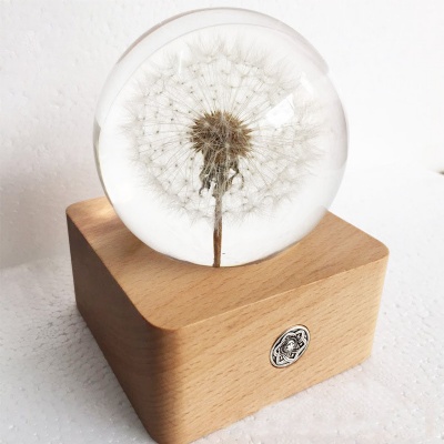 Dandelion Crystal Ball USB LED Lamp