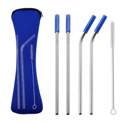 Stainless Steel Straws Silicone Tips Neoprene Case Brush