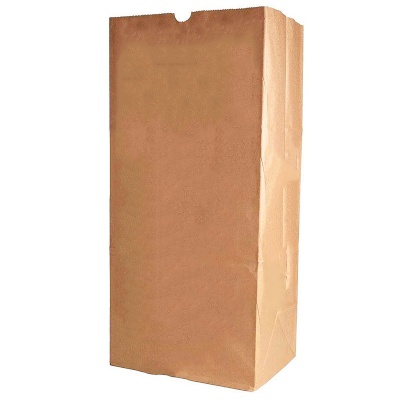 Home & Garden Leaf Lawn Refuse Paper Bags