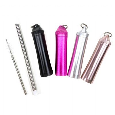 Collapsible Stainless Steel Straw with Travel Case