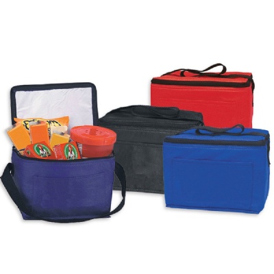 Reusable Picnic/Lunch Cooler Tote Bags Insulated