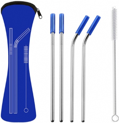 Reusable Stainless Steel Straws with Travel Case