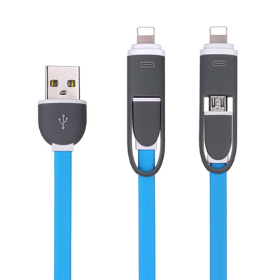2 In 1 Lightning Micro USB Sync & Charging Cable