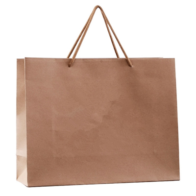 Recycled Brown Kraft Paper Bag