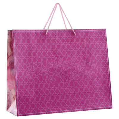 Paper Shopping Tote / Packaging Gift and Hand Bag