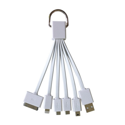 5 in 1 Multiple USB Charging Cable With Key Chain