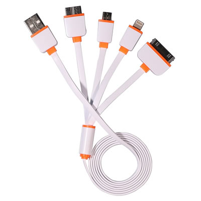 4 in 1 Multi USB Charge Cable Adapter