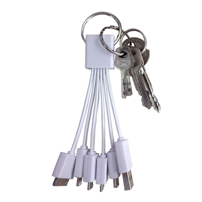 5 in 1 Multiple USB Charging Cable With Key Chain