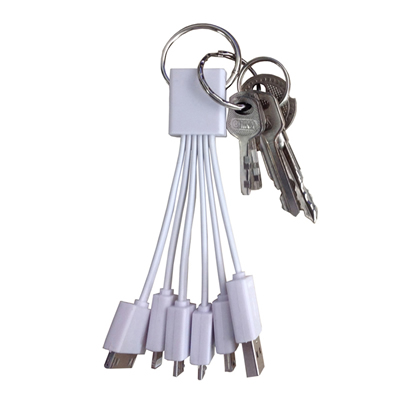 5 in 1 Multiple USB Charging Cable With Key Chain